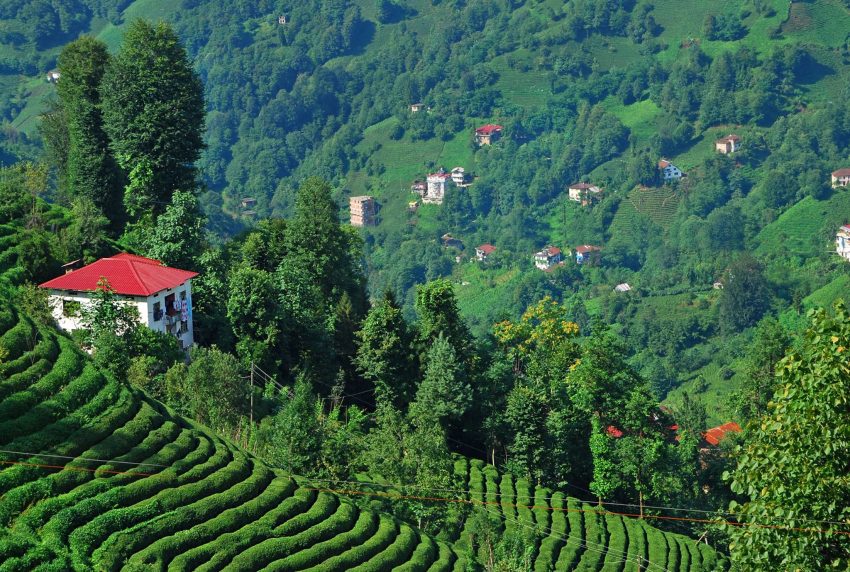 BKM’den çok iddialı bir Karadeniz dizisi geliyor